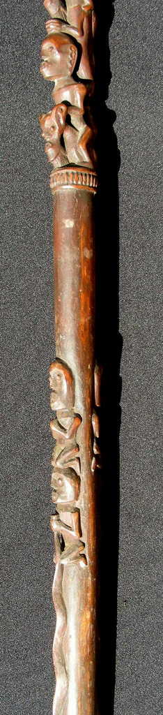 Batakstaff9