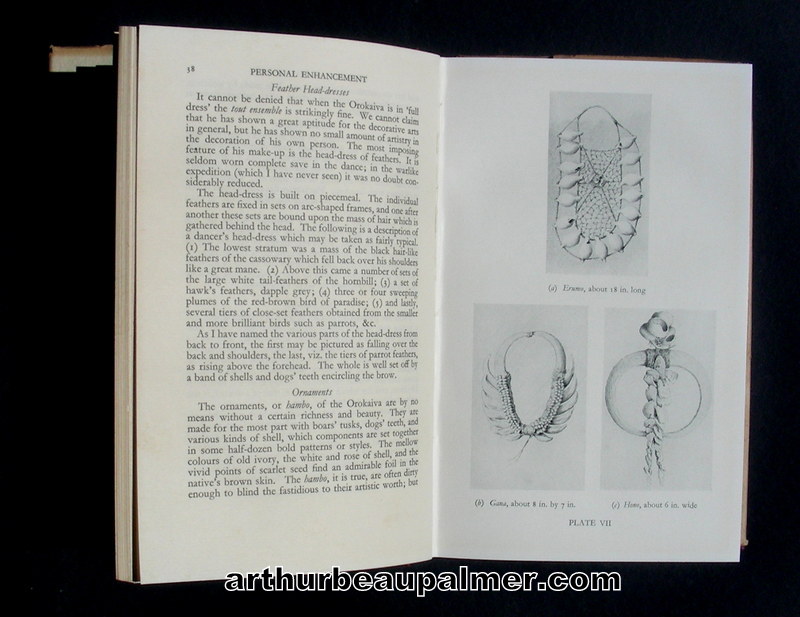 WilliamsBook2
